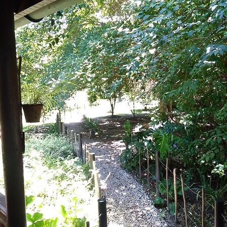 Andelomi Nature's Rest Stormsrivier Exterior foto
