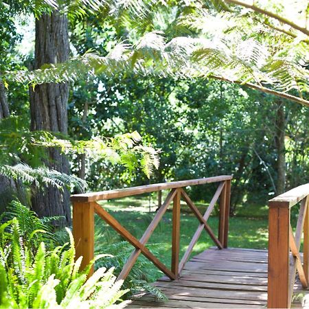 Andelomi Nature's Rest Stormsrivier Exterior foto