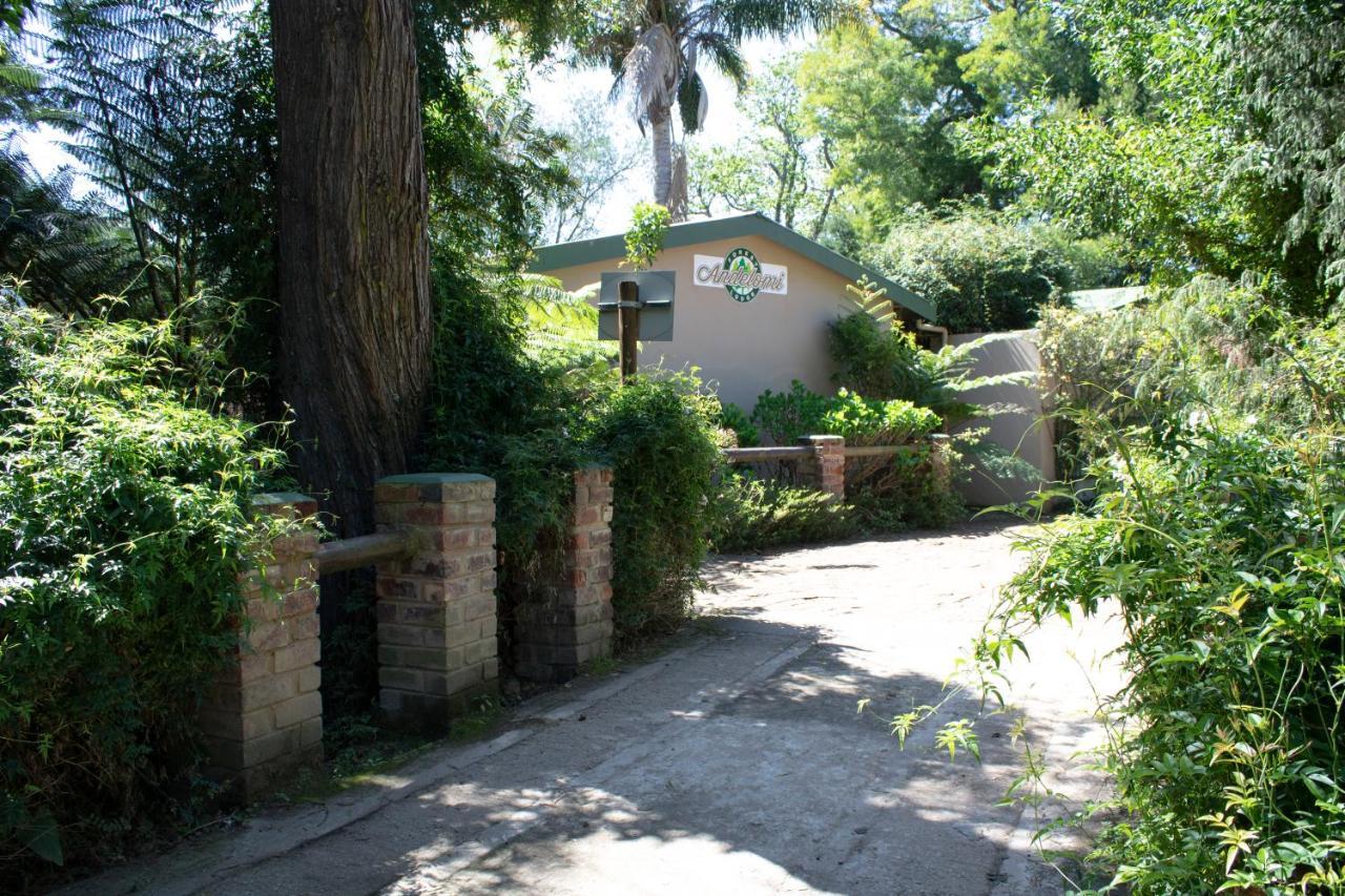 Andelomi Nature's Rest Stormsrivier Exterior foto