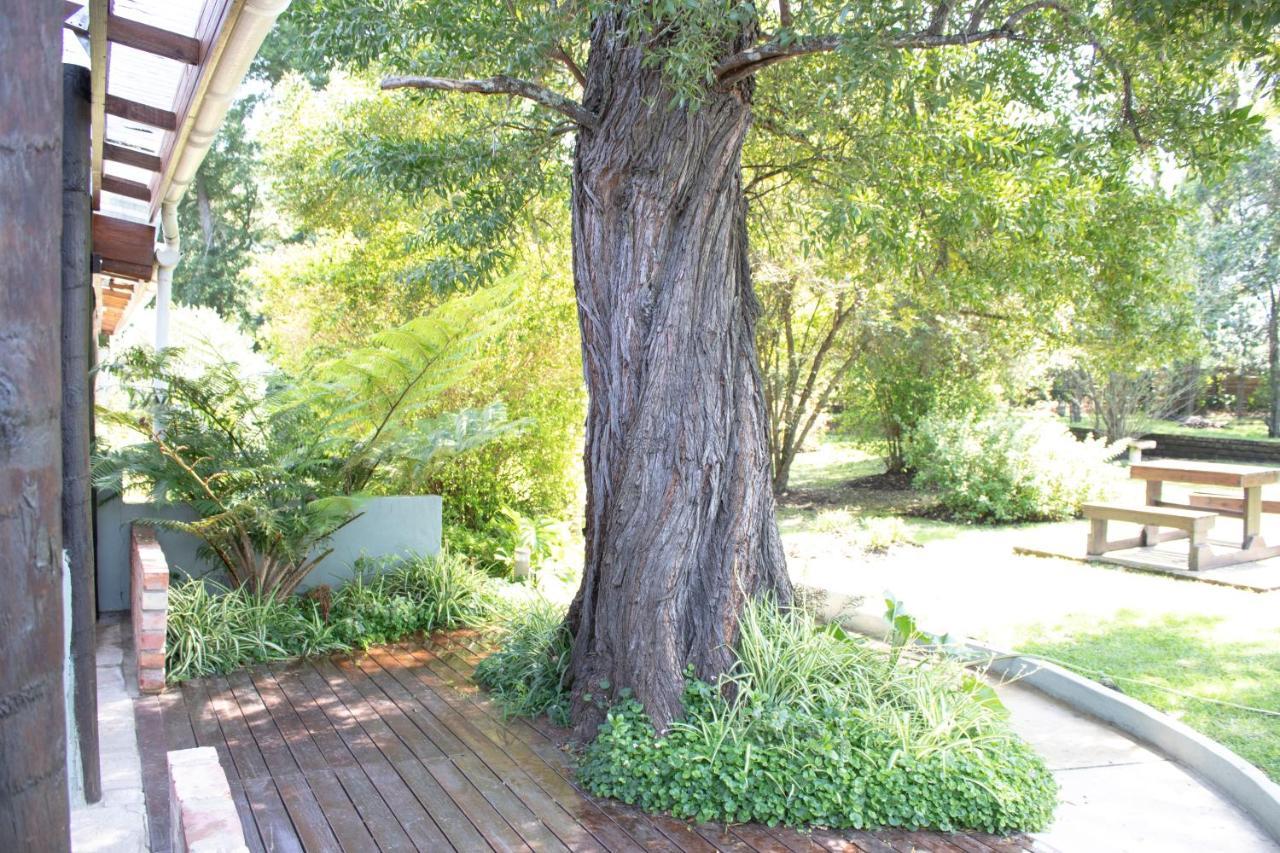 Andelomi Nature's Rest Stormsrivier Exterior foto