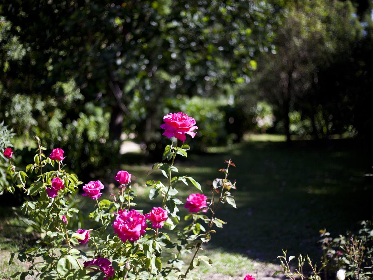 Andelomi Nature's Rest Stormsrivier Exterior foto