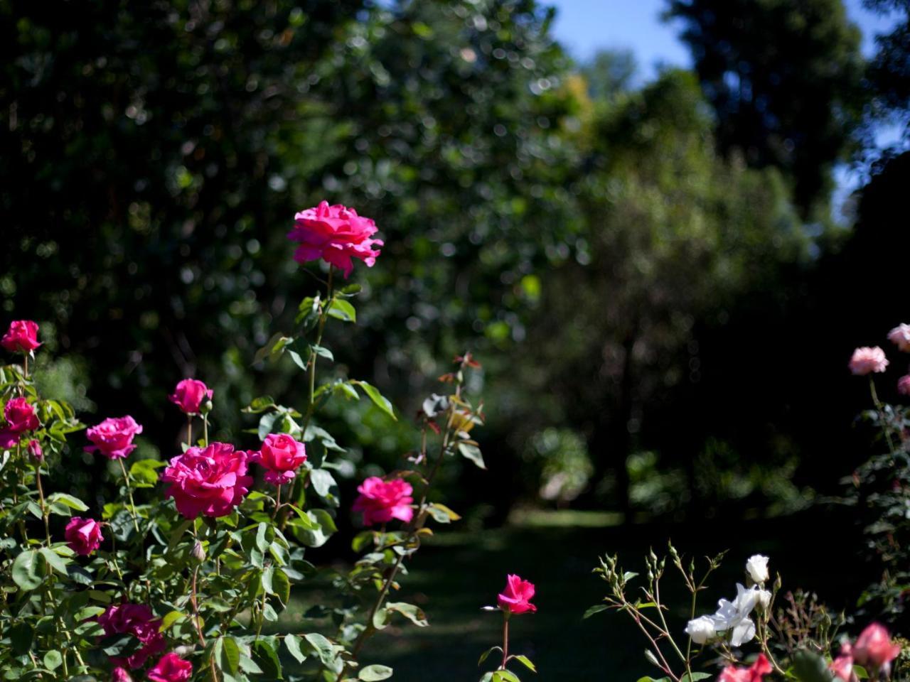 Andelomi Nature's Rest Stormsrivier Exterior foto