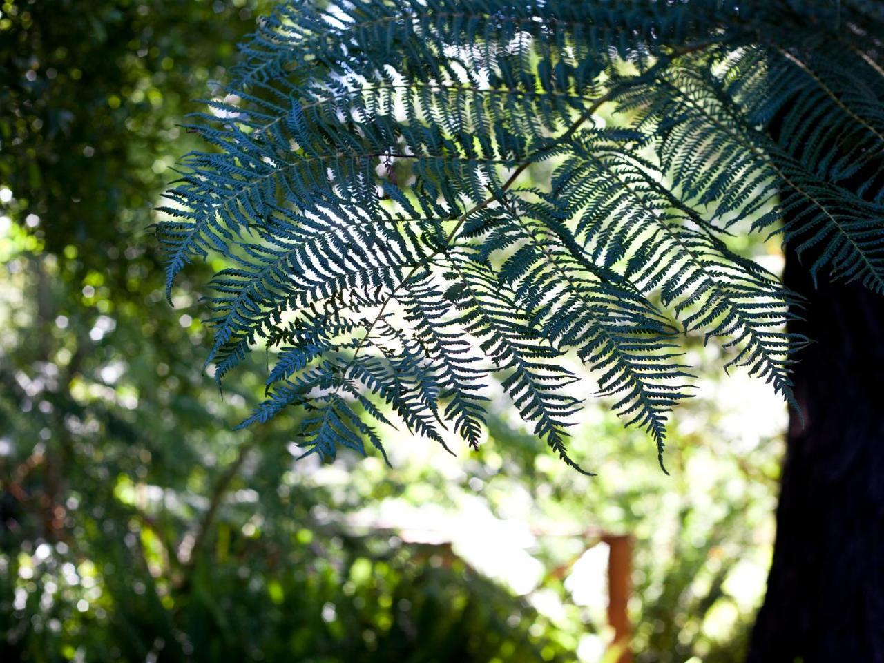Andelomi Nature's Rest Stormsrivier Exterior foto